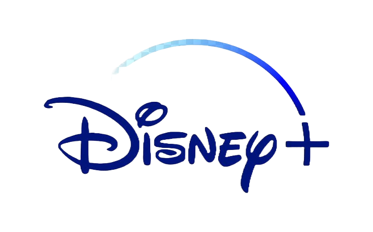 Disney+ subscription